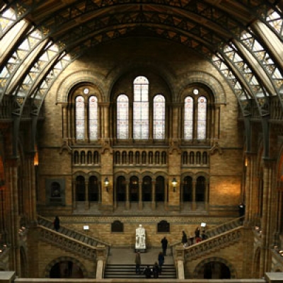 Natural History Museum Thumb